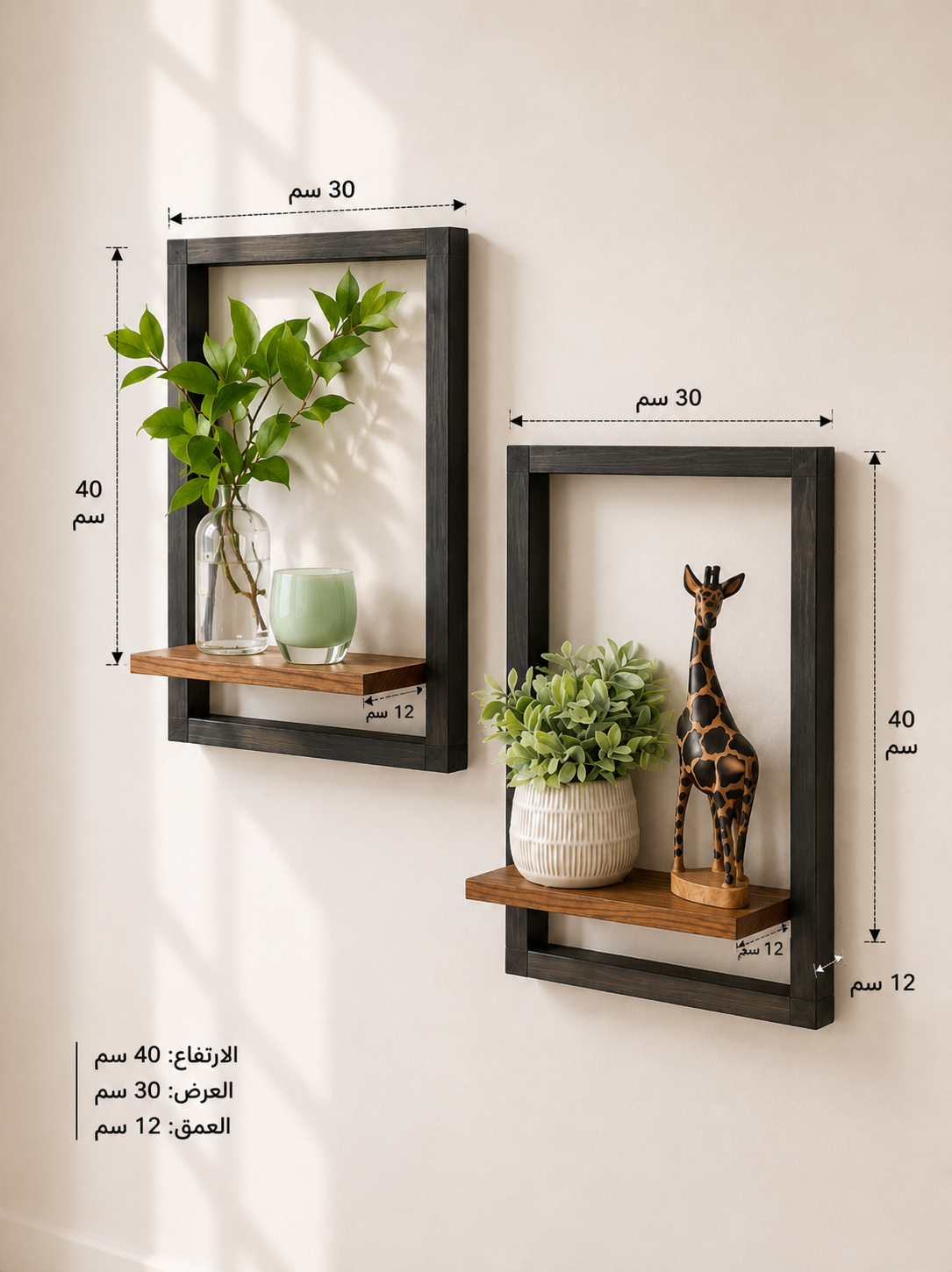 Modern Floating Wall Shelf Set